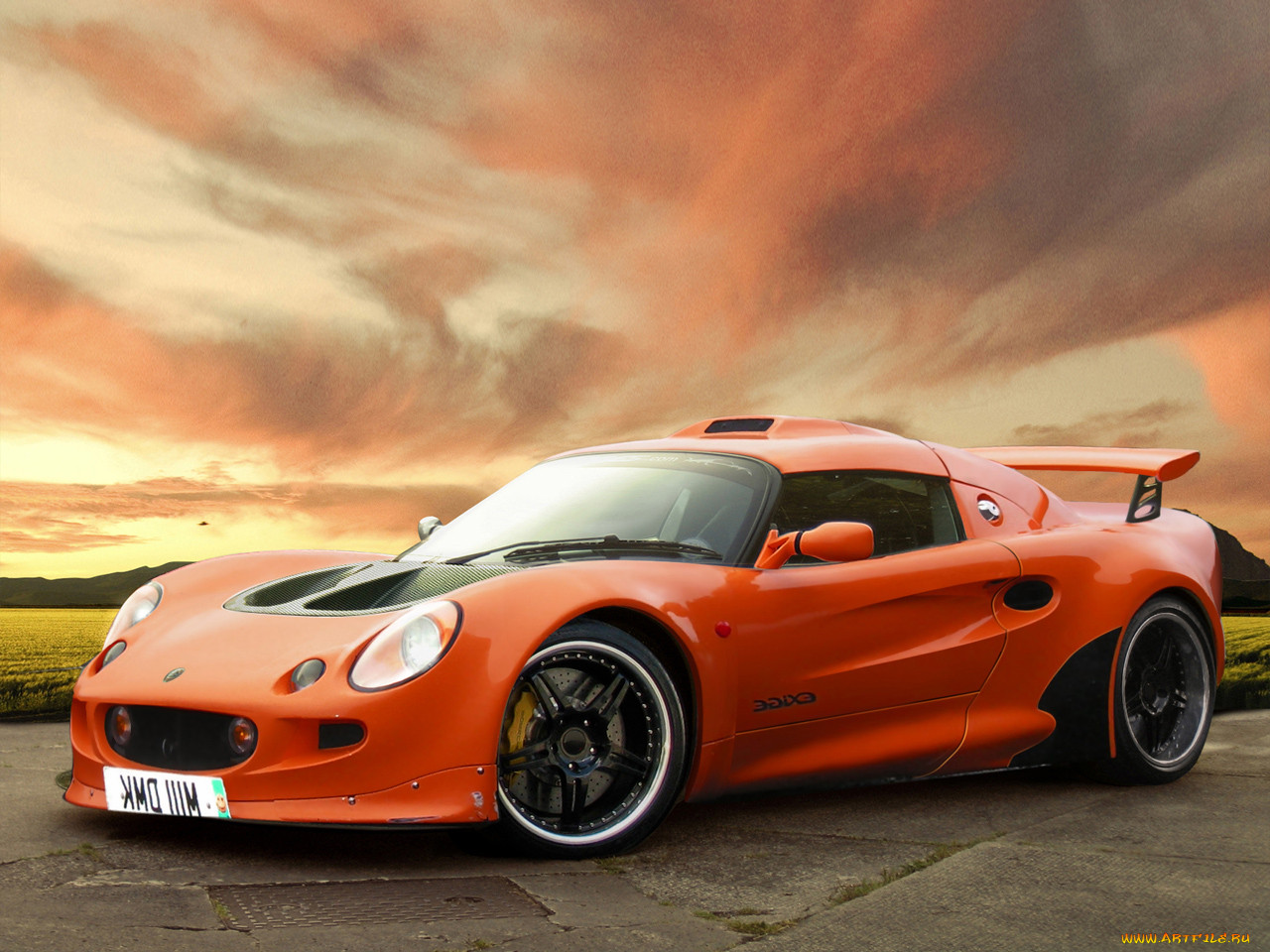 , lotus